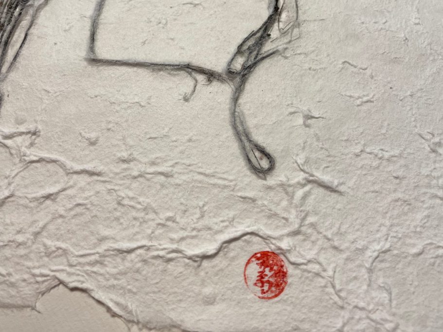 détail-oeuvre-dentelle-végétale-christine-cougoule