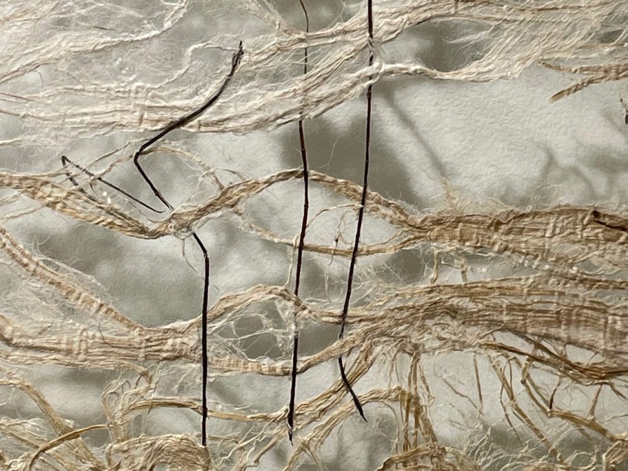 détail-oeuvre-dentelle-végétale-christine-cougoule