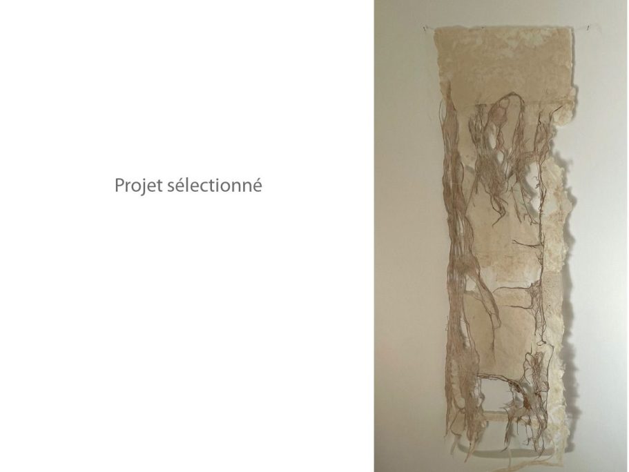 oeuvre-papier-blankmemory-christine-cougoule